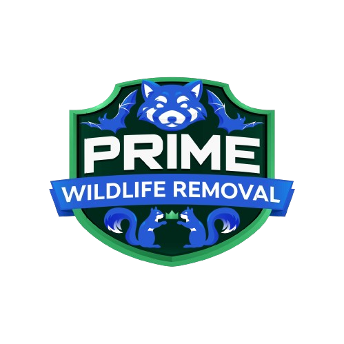 Wildlife Removal Terre Haute